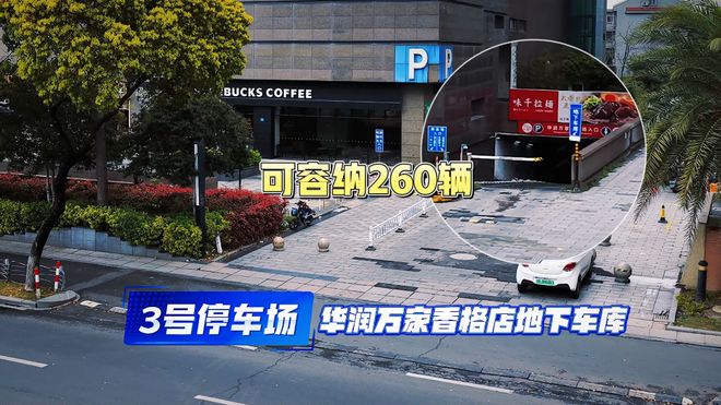苏格兰主帅世界杯心态积极带动全队