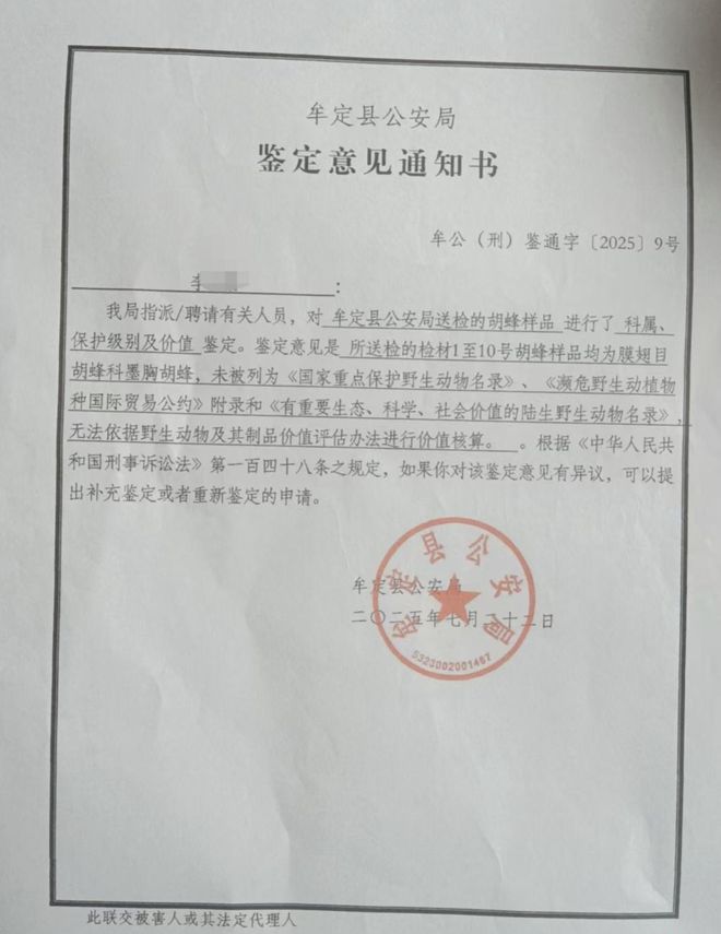 欧冠18分钟传球全成功,19岁阿玛斯为何仍被曼联标价600万?