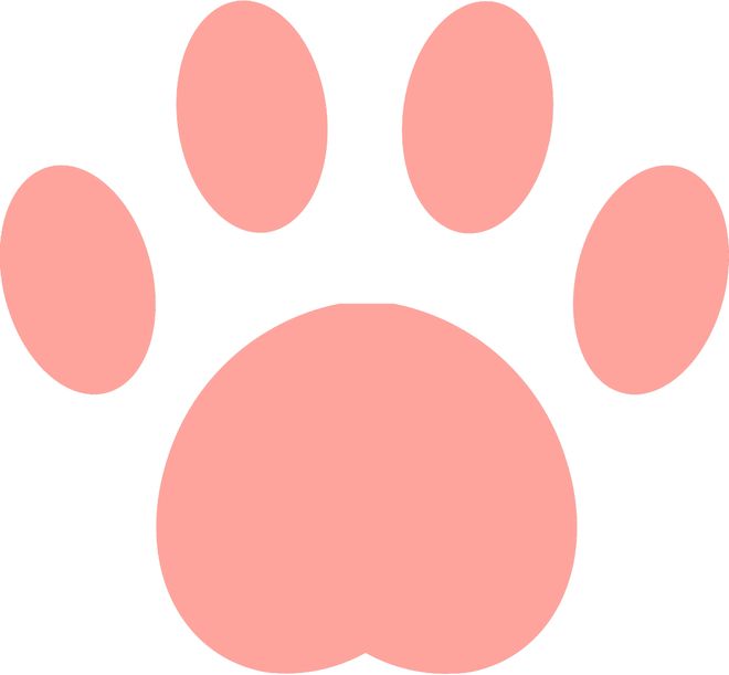 李镇全首次以新身份发声!直言将全力以赴,为重庆足球奋勇争先