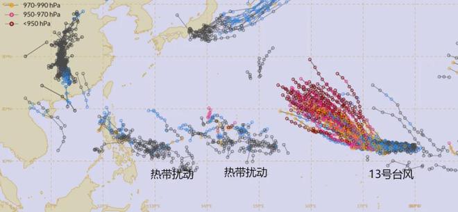 诺斯科娃温网夺冠绝非偶然 一年内完成“三级跳”