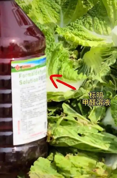 放弃继承260亿遗产,带女儿远走美国,如今才看清她多清醒