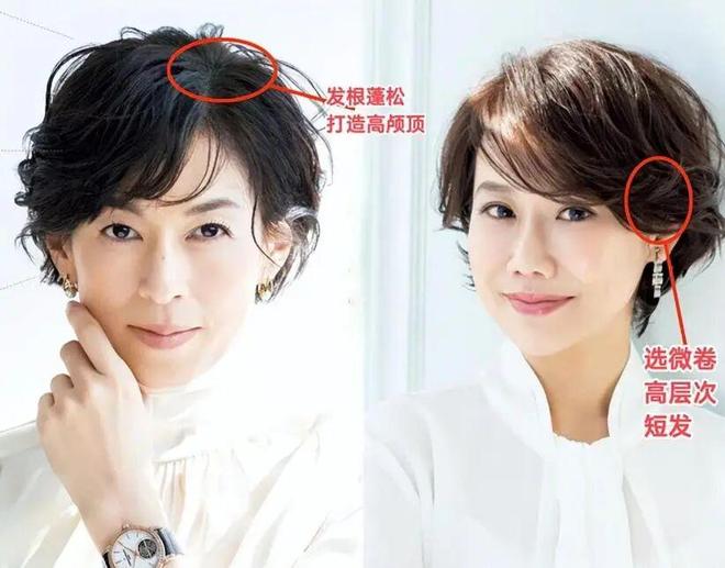 2026世界杯瑞典将战突尼斯
